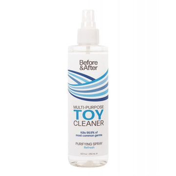 Before & After Spray Toy Cleaner - 8.5 oz